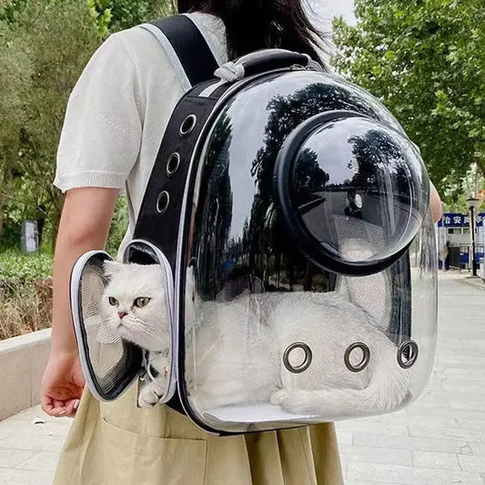 Transparent Cat Backpack Carrier – Breathable Travel Pet Bag with Bubble Window