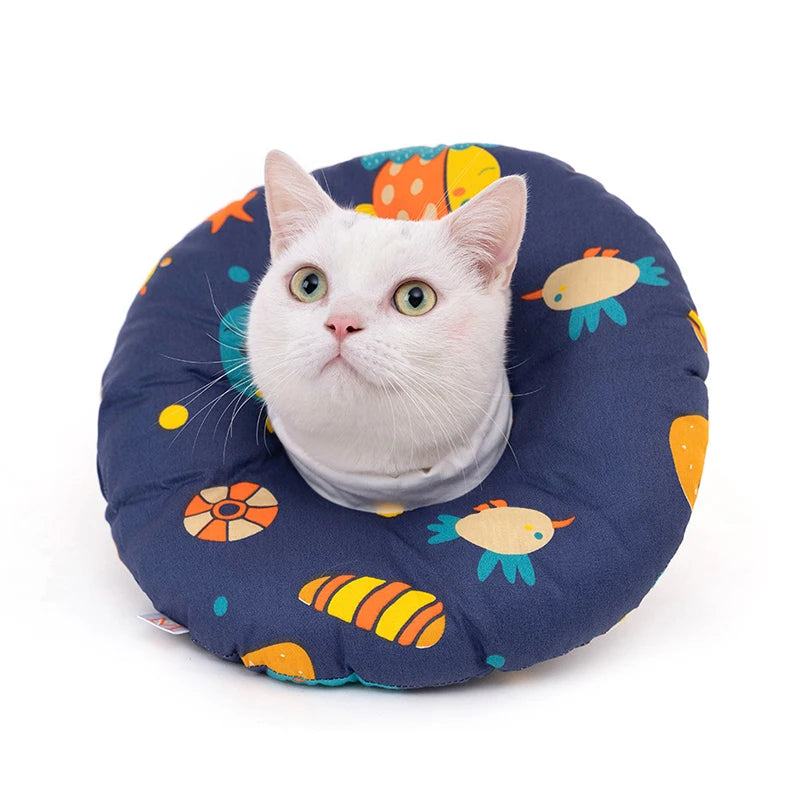 Cat Recovery Collar | CuraCat™