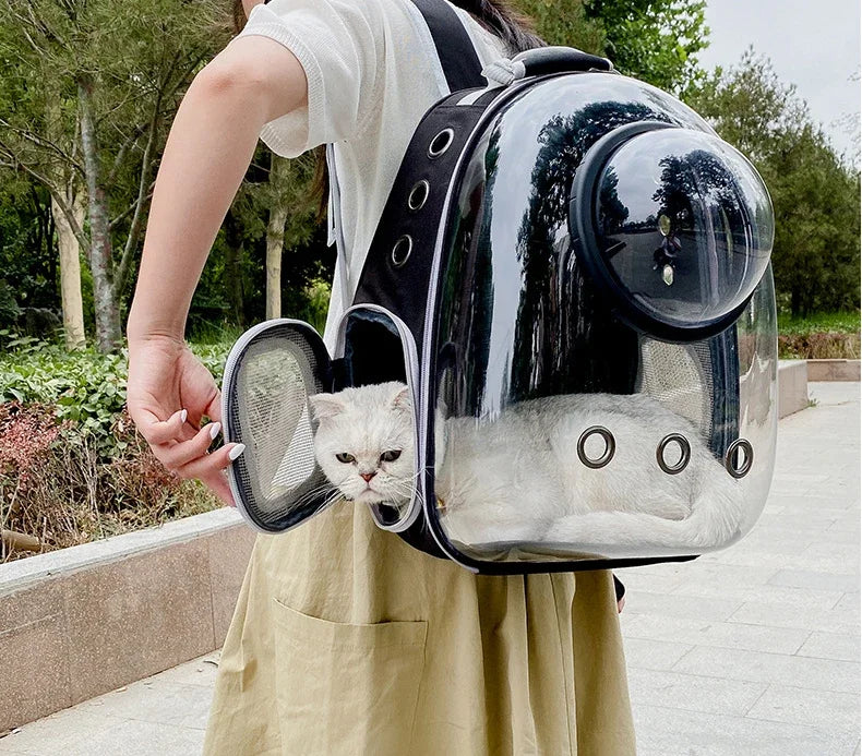 Transparent Cat Backpack Carrier – Breathable Travel Pet Bag with Bubble Window