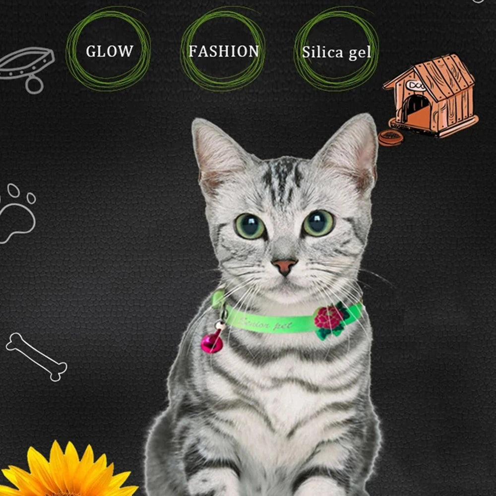 Luminous Cat Collar with Bell — Fluorescent Silicone, Anti-Loss
