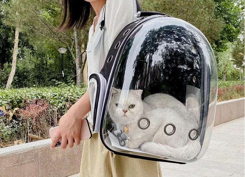 Transparent Cat Backpack Carrier – Breathable Travel Pet Bag with Bubble Window