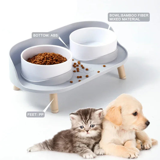 cat double bowl elevated feeder green base iso