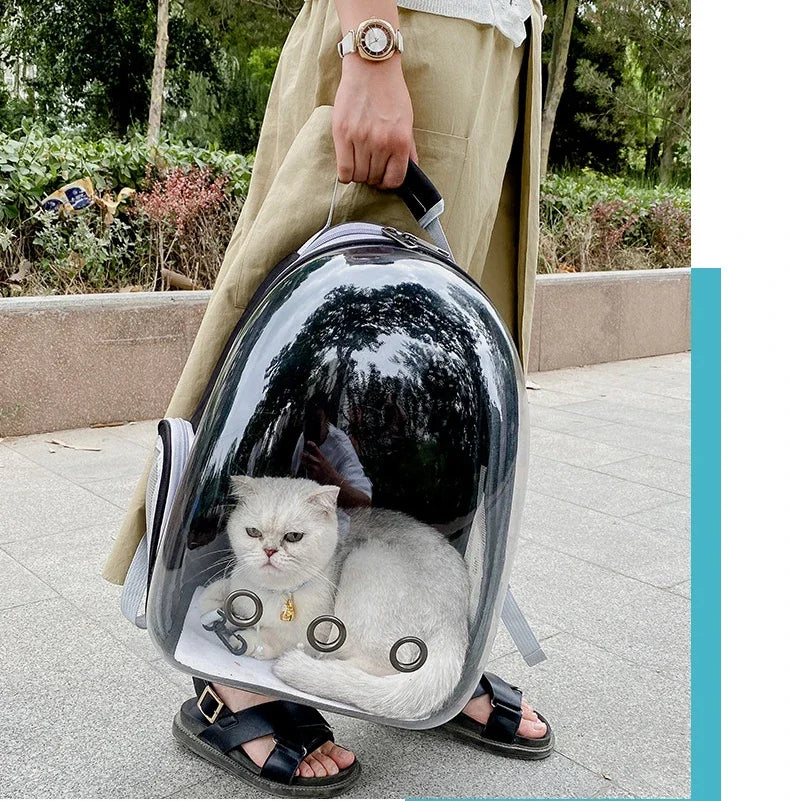 Transparent Cat Backpack Carrier – Breathable Travel Pet Bag with Bubble Window