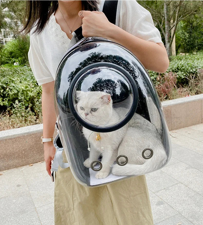 Transparent Cat Backpack Carrier – Breathable Travel Pet Bag with Bubble Window