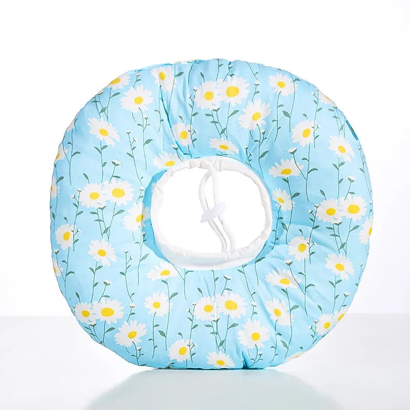 Cat Recovery Collar | CuraCat™