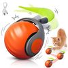 Interactive Cat Toy Ball – Speedy Tail 2.0