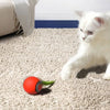 automatic cat ball toy with tail
