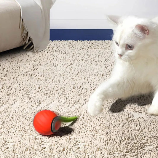 Interactive Cat Toy Ball – Speedy Tail 2.0