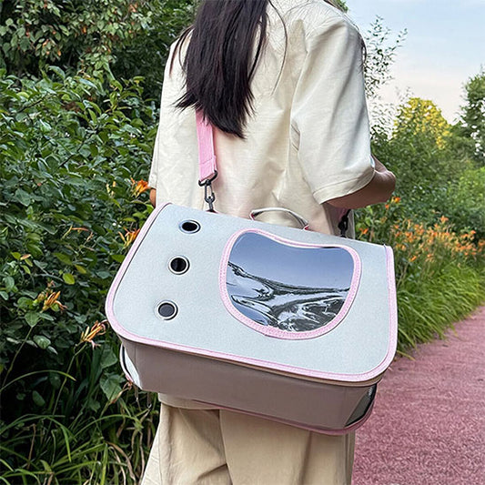 carrier bag cat kitten inside carrier