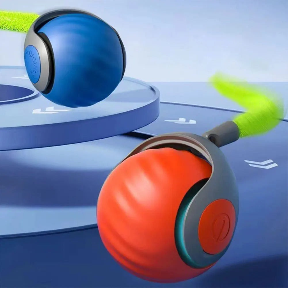 cat playing with interactive toy ball