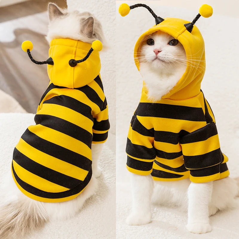 cute cat costume with hood