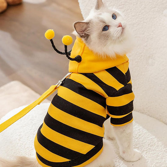 funny cat costume easter