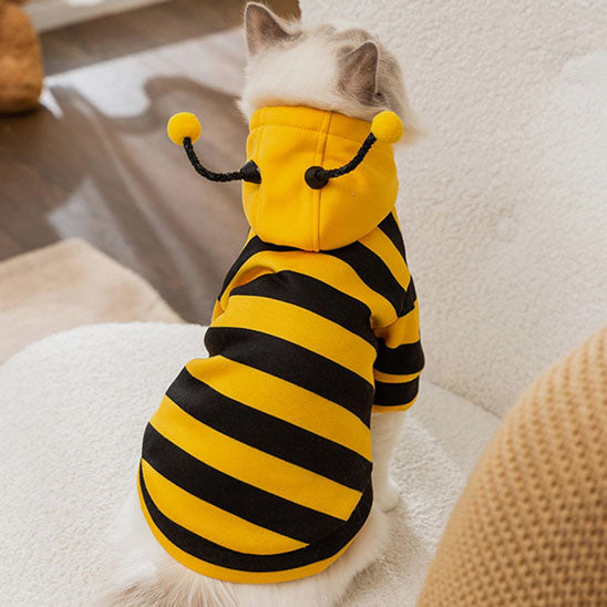 halloween cat costume hooded
