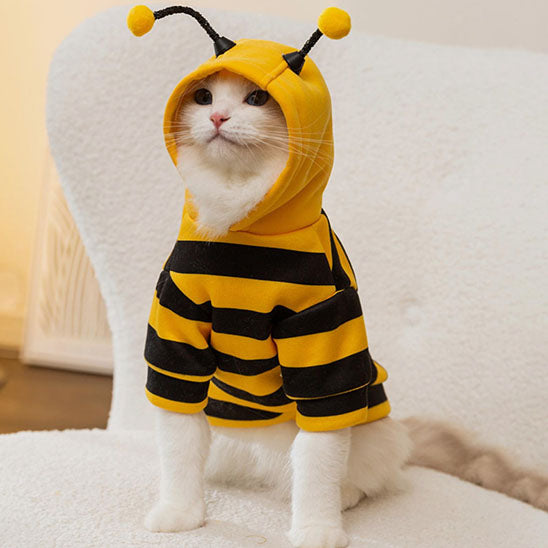 party cat costume hoodie