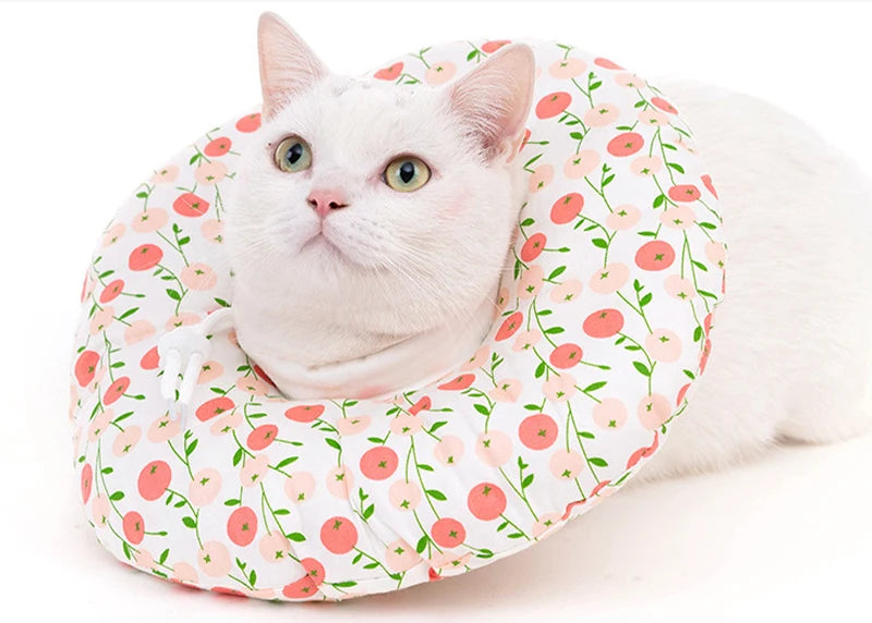 Cat Recovery Collar | CuraCat™