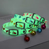 Luminous Cat Collar with Bell — Fluorescent Silicone, Anti-Loss