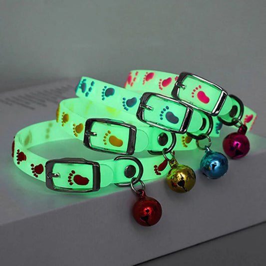 Luminous Cat Collar with Bell — Fluorescent Silicone, Anti-Loss
