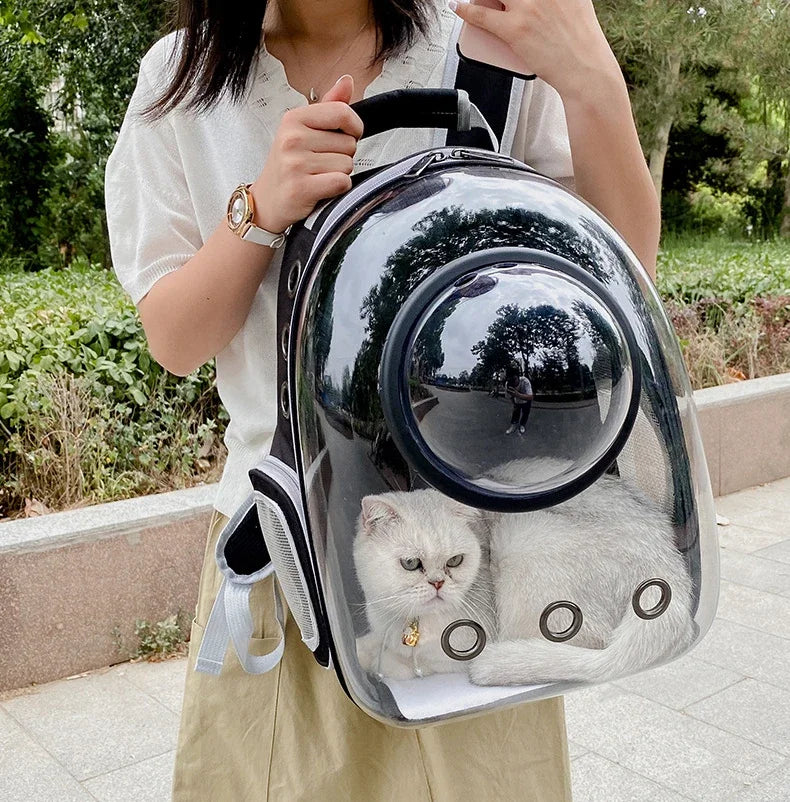 Transparent Cat Backpack Carrier – Breathable Travel Pet Bag with Bubble Window