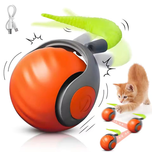 Interactive Cat Toy Ball – Speedy Tail 2.0