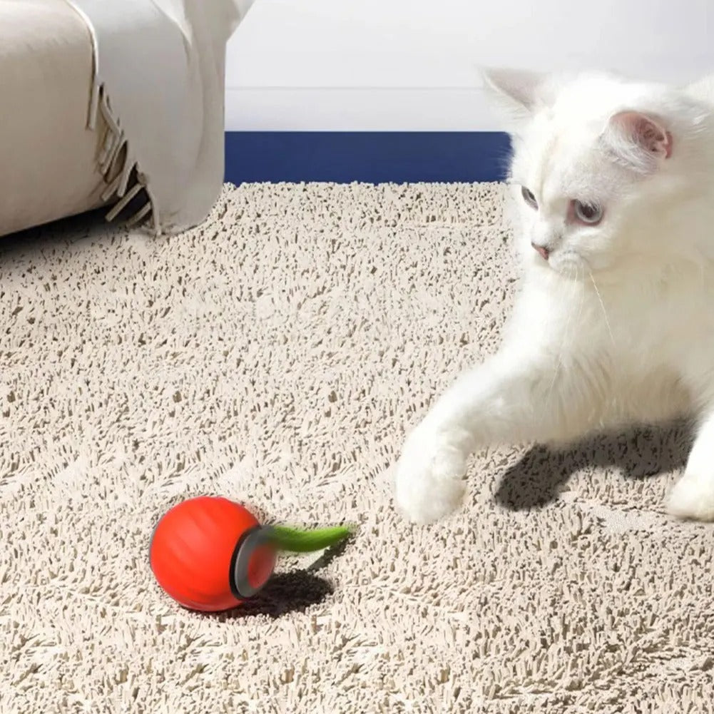 automatic cat ball toy with tail