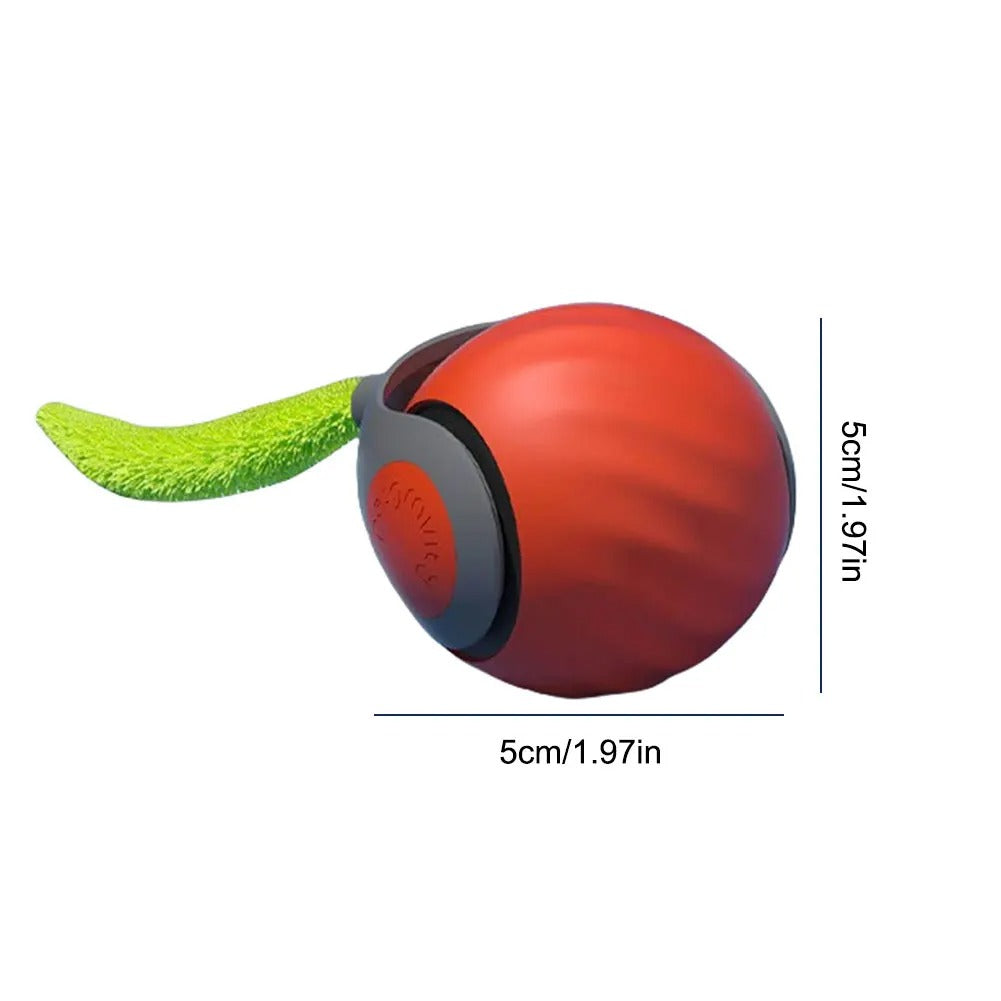 interactive cat toy ball size dimensions